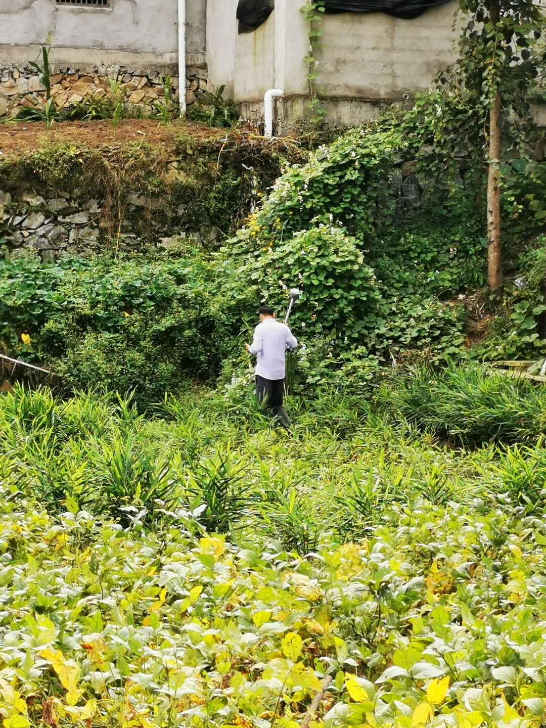 測量現(xiàn)場