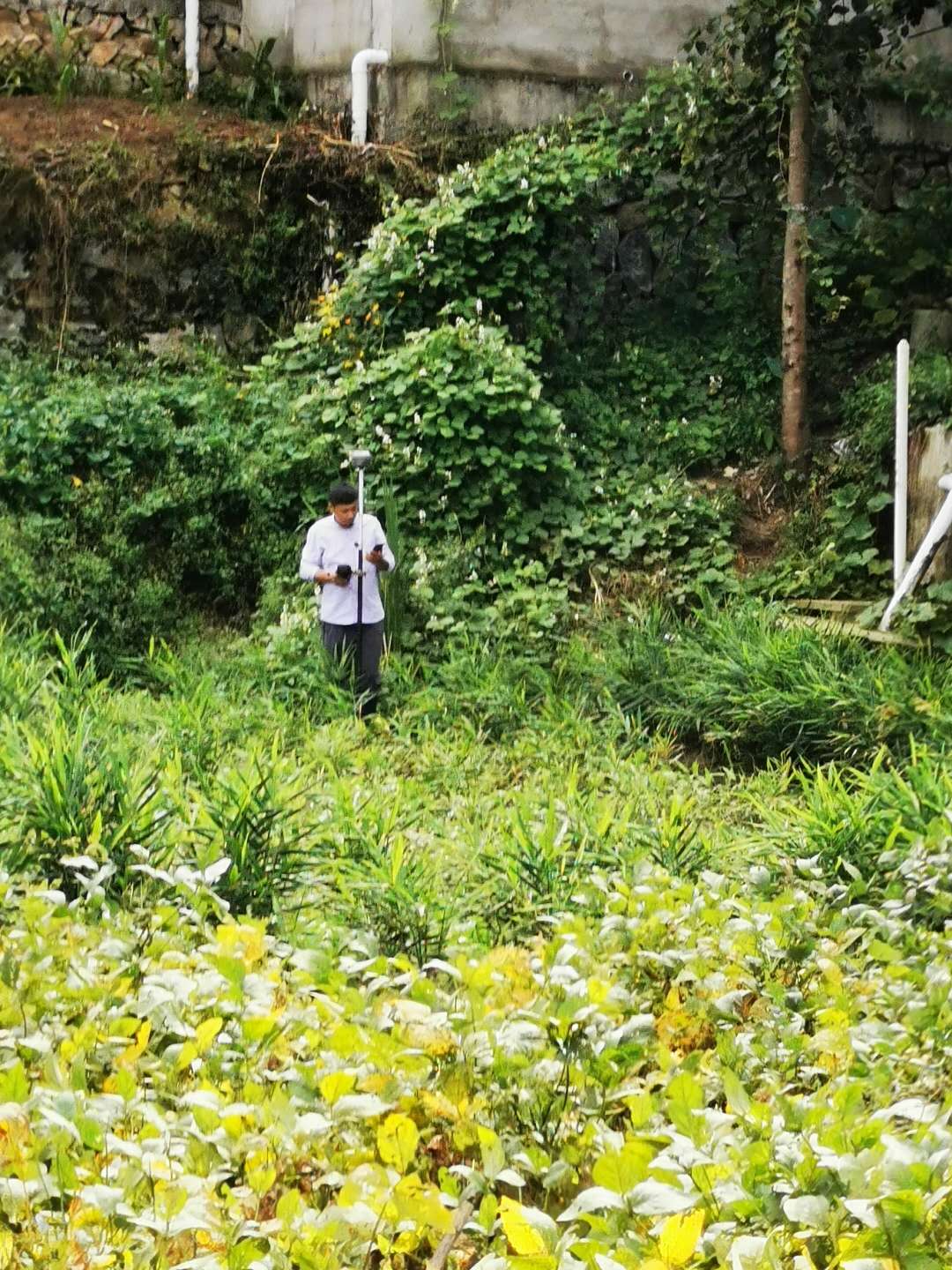 測量現(xiàn)場